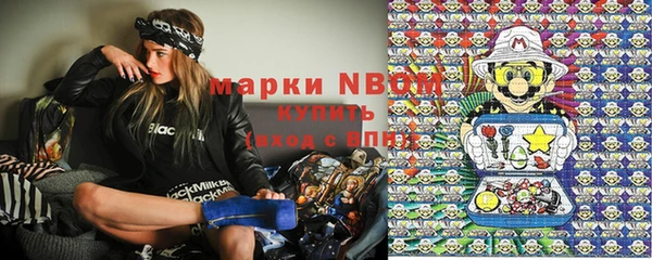 прущие грибы Алексеевка