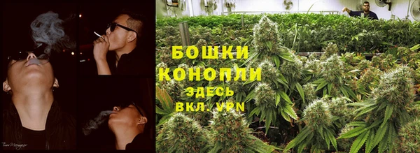 прущие грибы Алексеевка