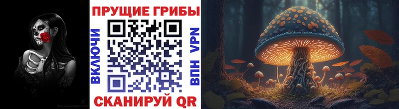Галлюциногенные грибы Magic Shrooms  Купить  Аксай 